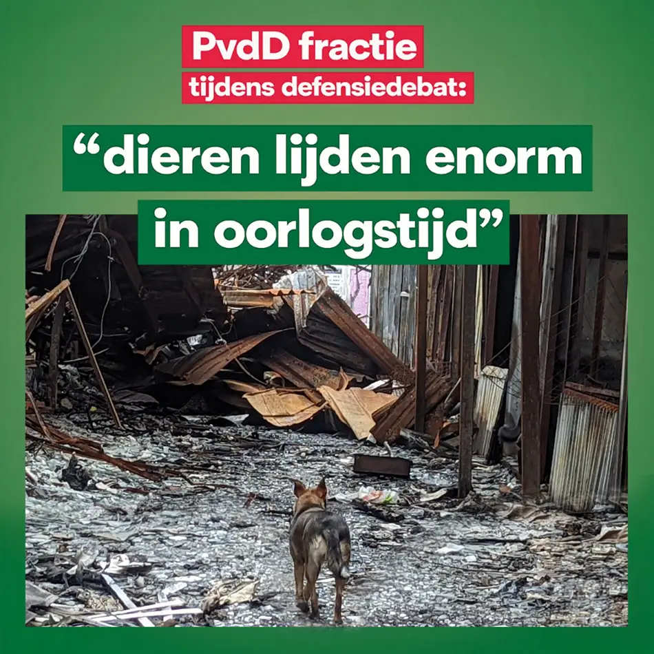 partij voor de dieren oorlog dierenleed