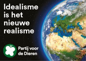 Idealisme is het nieuwe realisme